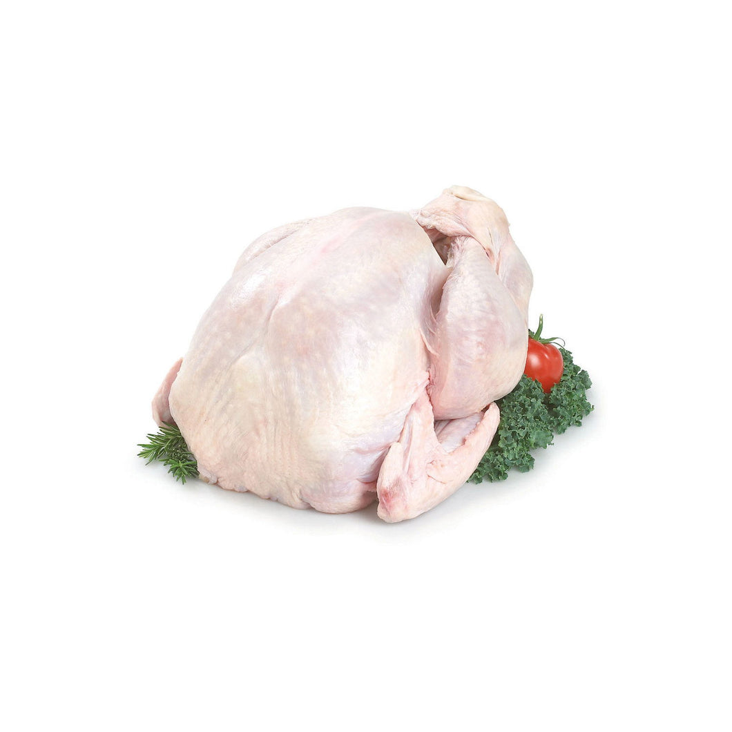 TURKEY WHOLE SIZE XL FRZ  /KG