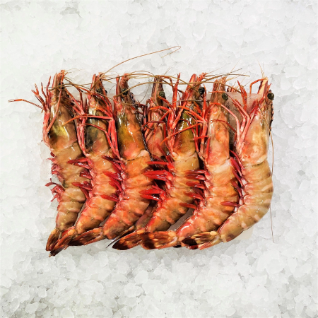 SHRIMPS 8/12  HEAD ON - SHELL ON 800G