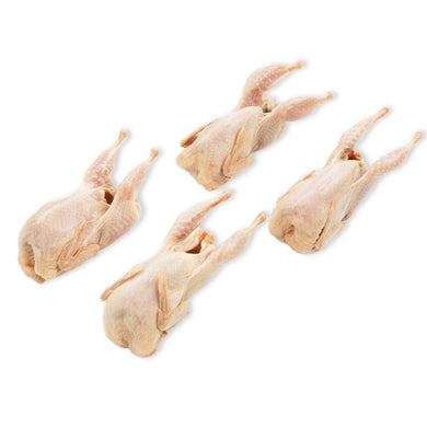 QUAIL ITALY FRZ 4PC