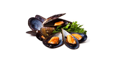 MUSSELS FRESH HOLLAND 1.4KG