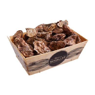 OYSTERS FINES DE CLAIRES  N3  24PC