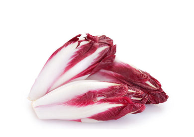 CHICORY RED/KG