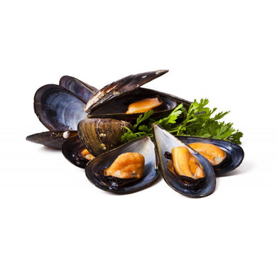 MUSSELS HOLLAND FRESH /KG