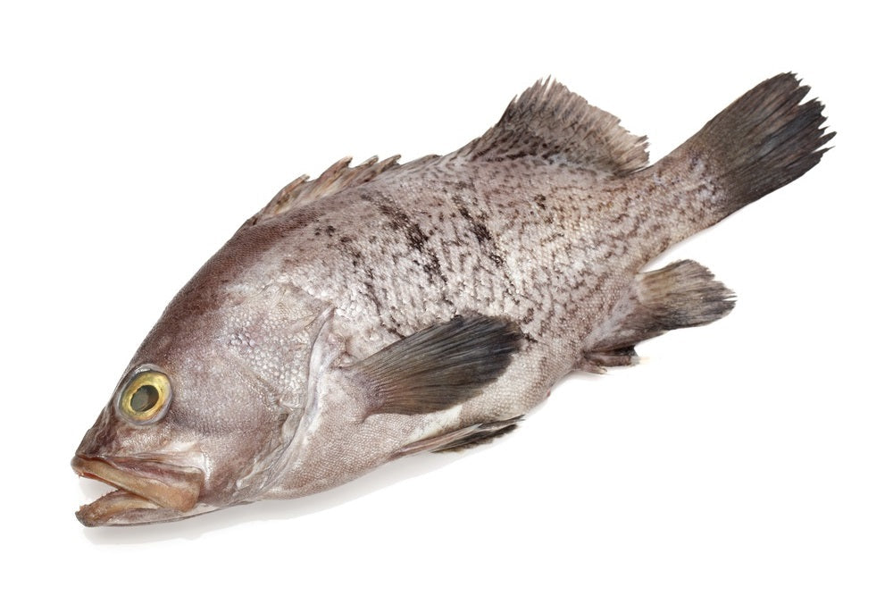GROUPER THIOF/ KG