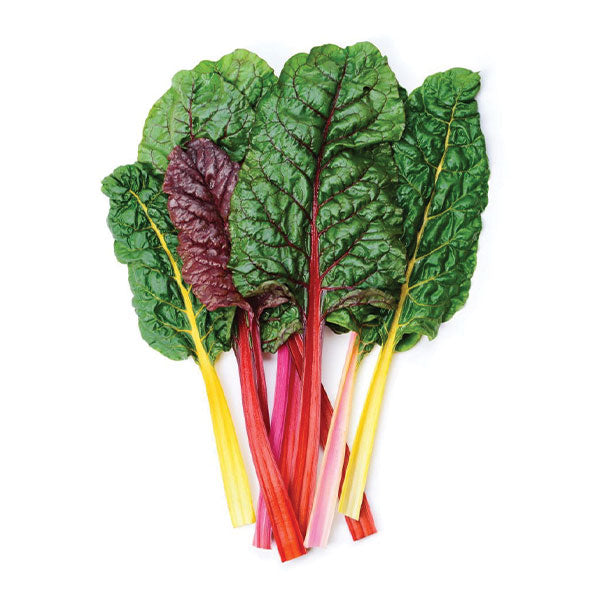 SWISS CHARD / KG