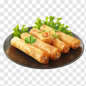 CHICKEN SPRINGROLLS 14X110G