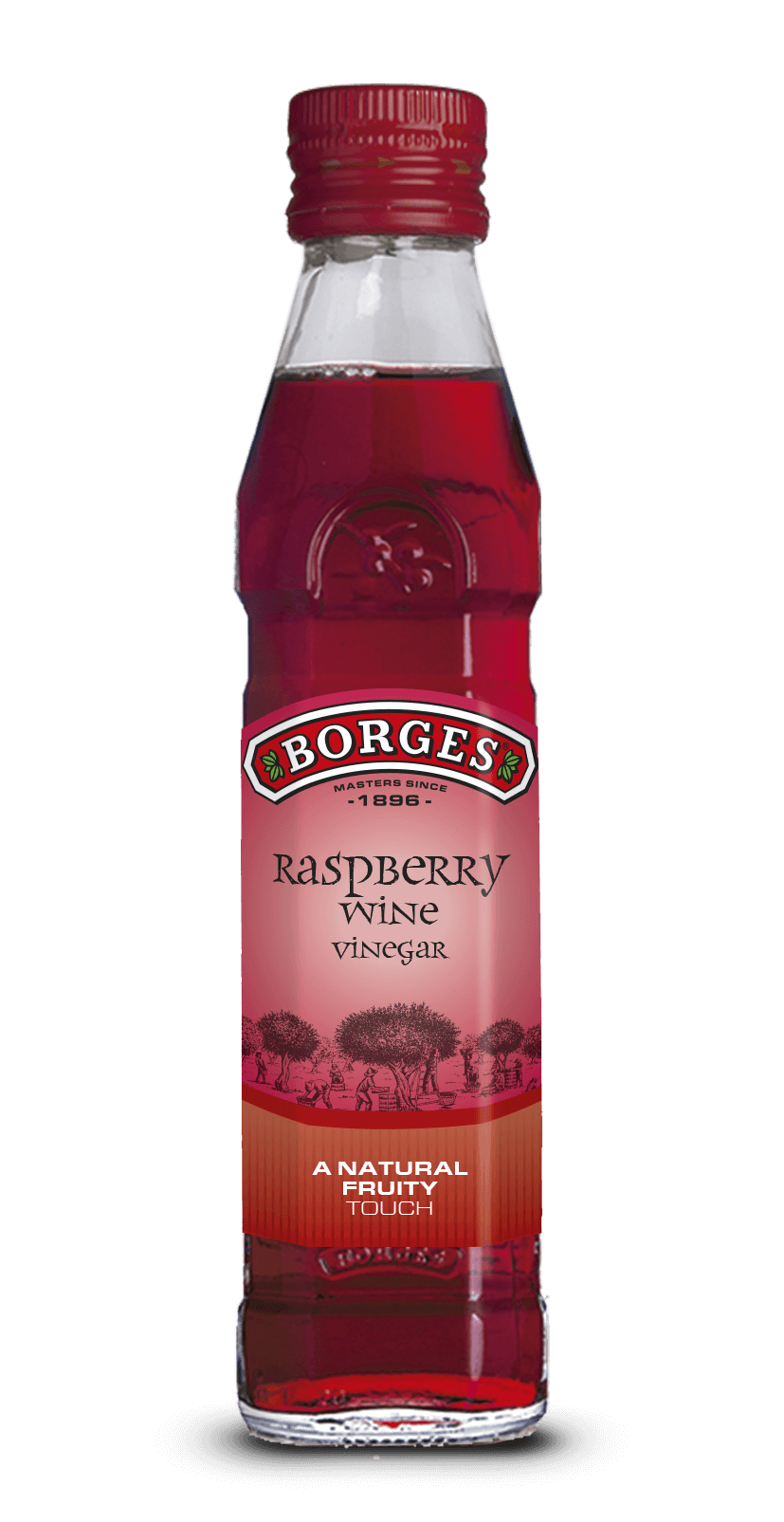 VINEGAR WITH RASPBERRY BORGES 50CL