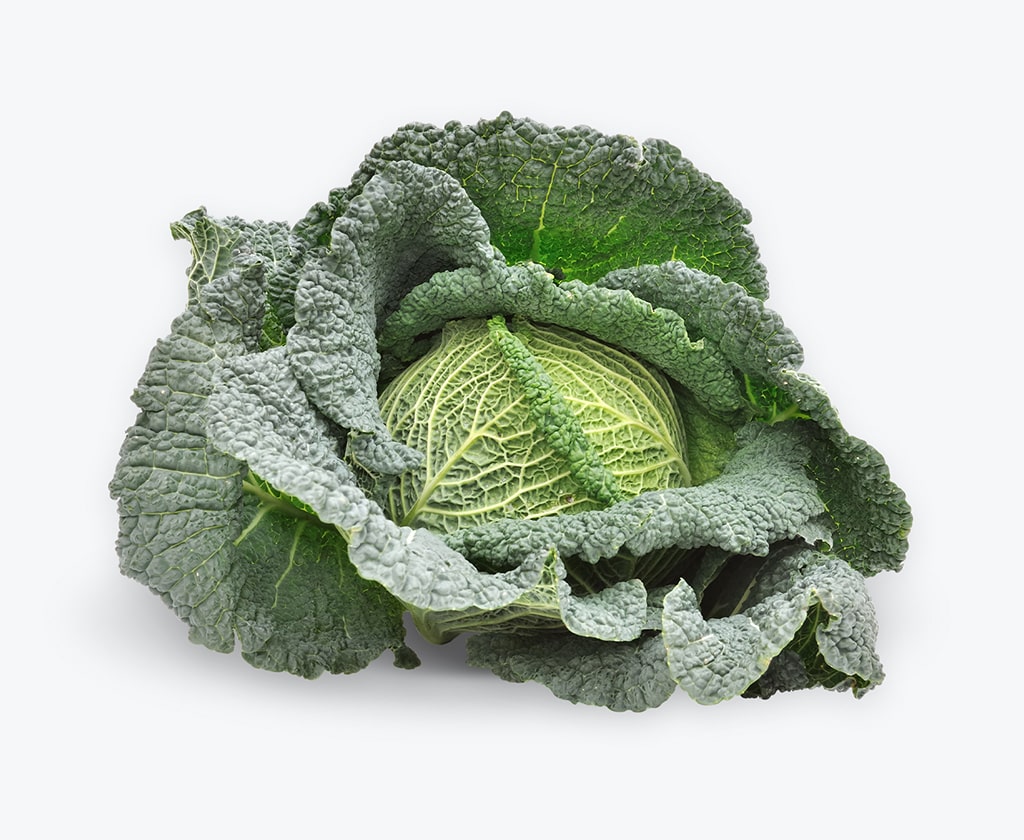 CABBAGE SAVOY GREEN /KG