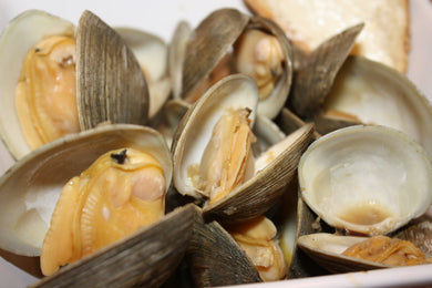CLAMS HALF SHELL COOKED 90/120 800G