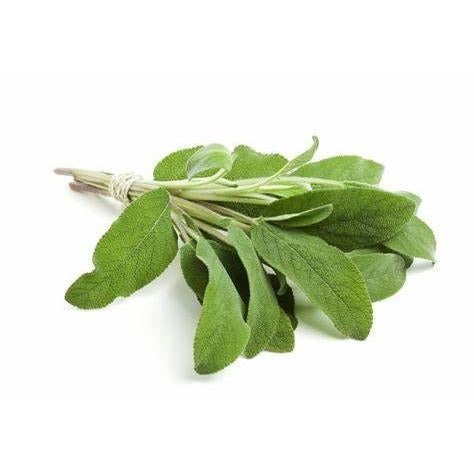 HERB SAGE IMPORTED PUNNET 30G