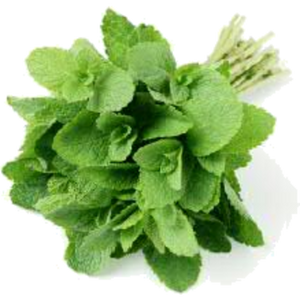 HERB MINT PUNNET 30GR