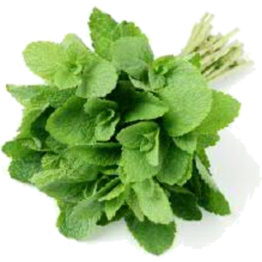 HERB MINT PUNNET 30GR