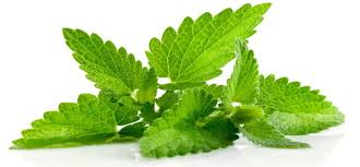 VAL D'ENDORRE MINT M 50GR