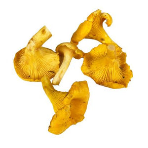 MUSHROOM GIROLLES  EXTRA