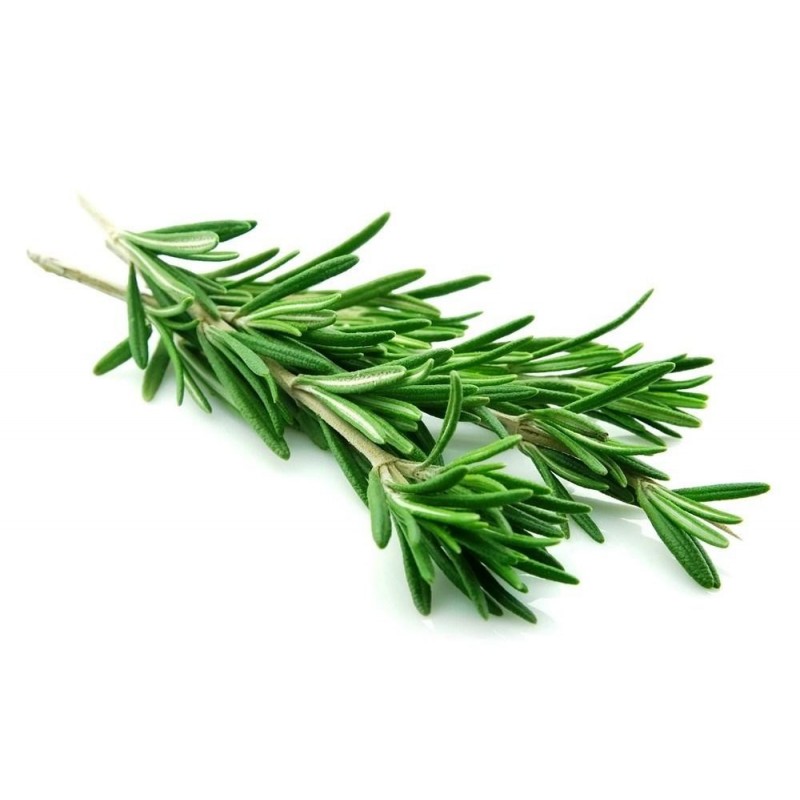 HERB ROSEMARY IMPORTED PUNNET 30GR