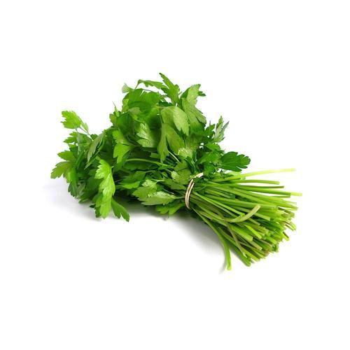 HERB CORIANDER IMPORTED PUNNET 30G