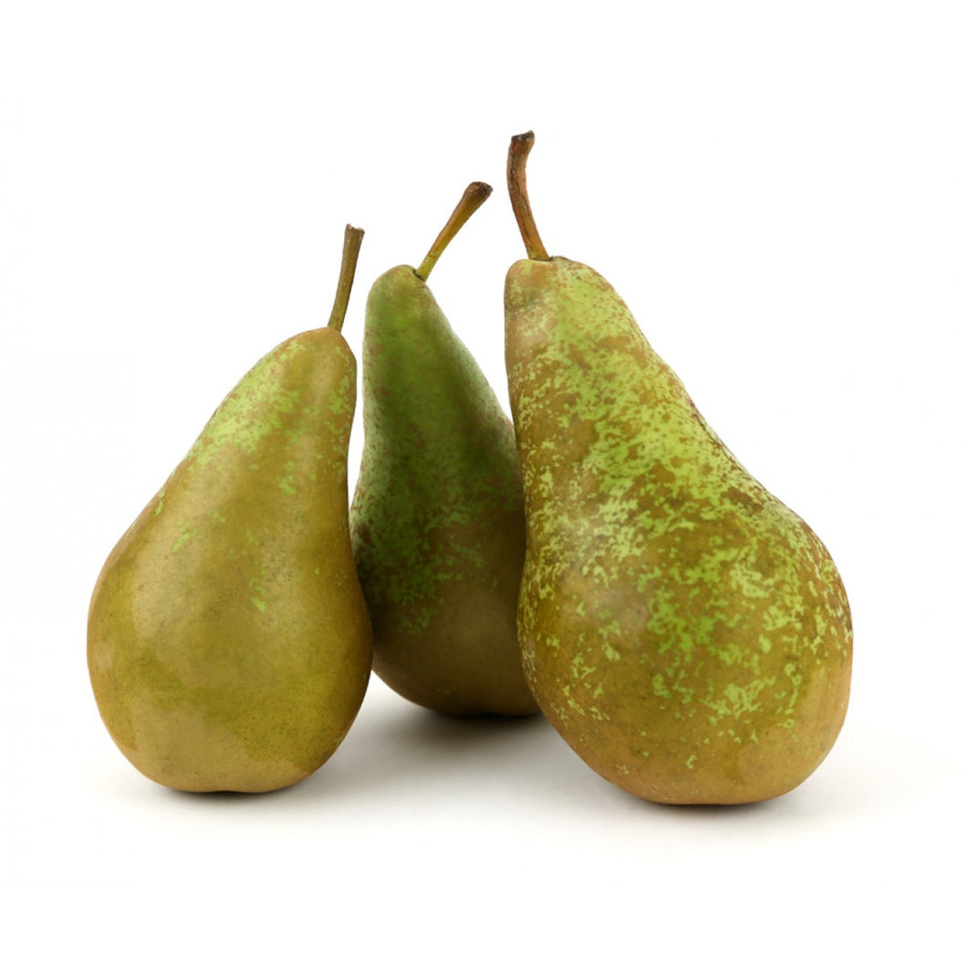 PEAR CONFERENCE /KG