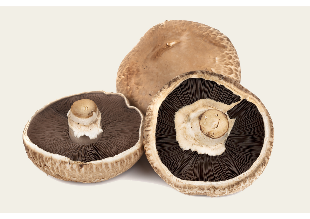 MUSHROOM PORTOBELLO /KG